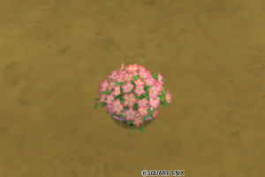 花の植木鉢・桃