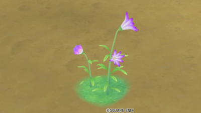 【ハウジング】庭具 ＞ 花・植物(庭)「メギストリス紫花」