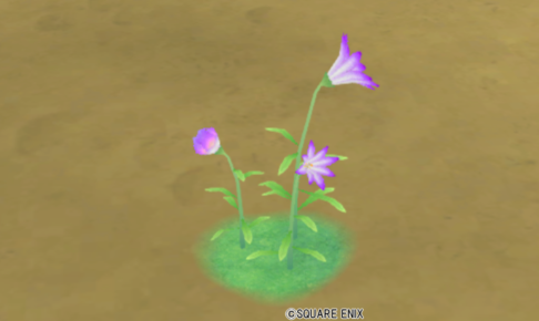 【ハウジング】庭具 ＞ 花・植物(庭)「メギストリス紫花」